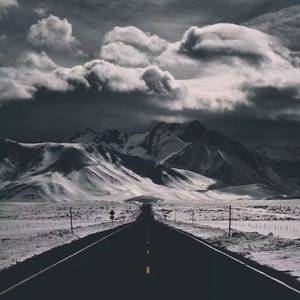 爆操美女的烧穴
