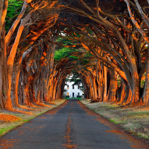 爆操美女的烧穴
